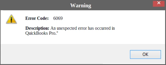 QuickBooks error 6069