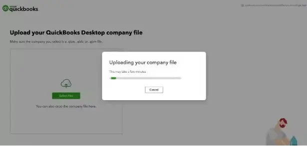 Upload the company file 