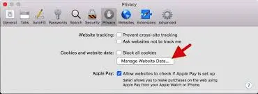Manage Website Data